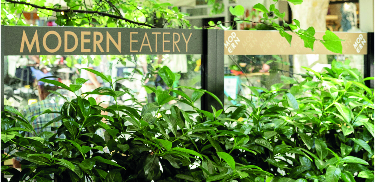 Modern_presentation2